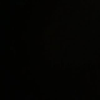 Profile Picture of Franjo Milos (@franjo_milos) on Instagram