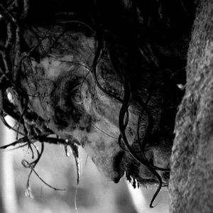 Profile Picture of Donny Wood (@jedininjarockstar) on Myspace