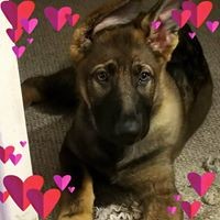 Profile Picture of Tammy Basham (@tammy-basham-2) on Quora