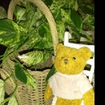 Profile Picture of Sherry Swain (@swain8984) on Instagram