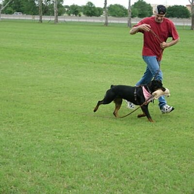 Profile Picture of Kevin Poteet (@klp101) on Twitter