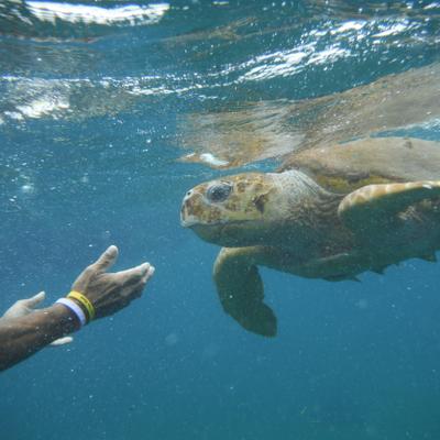 Profile Picture of John Stathis (@Homeostathis) on Twitter