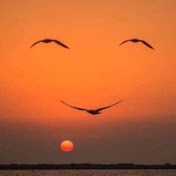 Keith Swartz - Youtube Profile Picture of Keith Swartz (@keithswartz2266) on Youtube