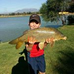 Profile Picture of Josh le Roux (@josh_leroux5) on Instagram