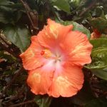 Profile Picture of Kerry Molineux (@kerrymolineux) on Instagram