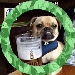 Profile Picture of Iris Sadowski (@iris.sadowski) on Tiktok