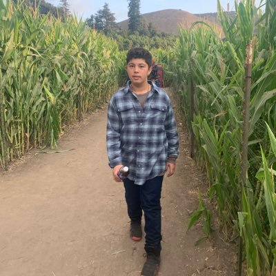 Profile Picture of Vladimir Stefanovic (@Vladimi23105355) on Twitter