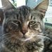 Profile Picture of Joey Bailey (@joey.bailey.35380) on Facebook