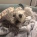 Profile Picture of Joann Alder (@Joann-Alder) on Facebook