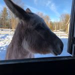 Profile Picture of Myrna Cooper (@myrna_k_cooper) on Instagram