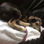 Profile Picture of James Daw (@1234_james_daw) on Instagram