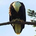 Profile Picture of Chris Blaisdell (@blaisdell.chris) on Instagram