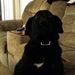 Profile Picture of Dot-Jim Farley (@dfarley002) on Pinterest
