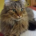 Profile Picture of Christa Betker (@christabetker) on Instagram