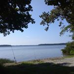 Profile Picture of Mark Bostick (@bam_582) on Instagram