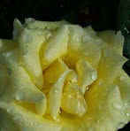 Profile Picture of Shelly Trotter (@shelly.trotter.581) on Facebook