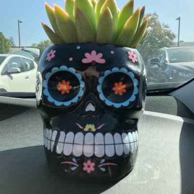 Profile Picture of Josephine Valentino (@joannairis) on Twitter