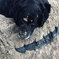 Profile Picture of Shawna Henshaw-morrell (@shawna-henshaw-morrell) on Quora