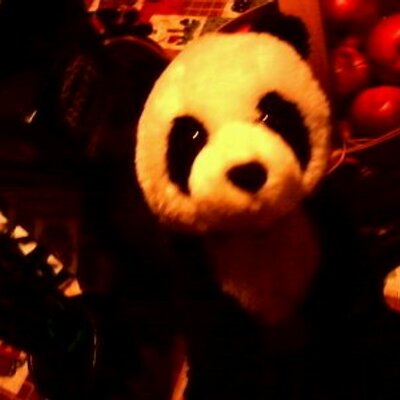 Profile Picture of Michael Vanbuskirk (@vanbuskirk98) on Twitter