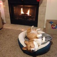 Profile Picture of David Visconti (@david-visconti-2) on Quora