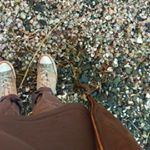 Profile Picture of Rees Miller Heterick (@_cadmiumyellow_) on Instagram