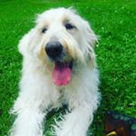 Profile Picture of Cindy & Sergio (@starky_cindy_sergio) on Instagram