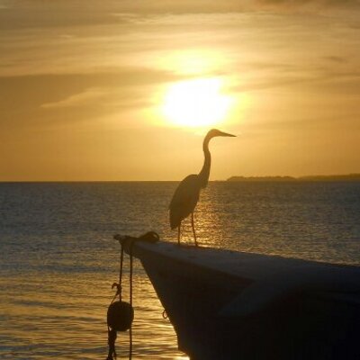 Profile Picture of Juan Jose Reveron (@jjreverong) on Twitter