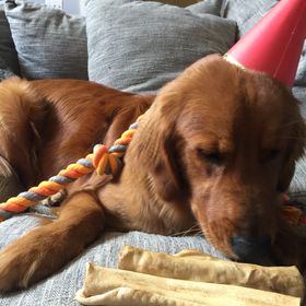 Profile Picture of Maddie Miller-Alexander (@maddiealexander) on Pinterest