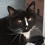 Profile Picture of Lucy manley (@luc.ym4) on Instagram