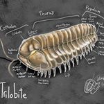 Profile Picture of Francis Michael Pitchford (@francismichaelpitchford) on Instagram