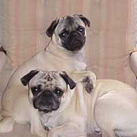 Profile Picture of Steve Ruffino (@steve-ruffino-2) on Quora