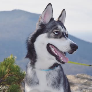 Aspen Brooks - Instagram Profile Picture of Aspen Brooks (@aspen.brooks) on Instagram