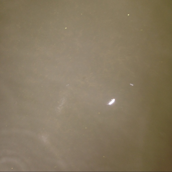 Profile Picture of Kyra Chiappini (@kyranc7) on Poshmark