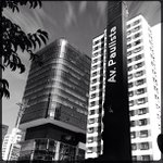 Profile Picture of Steven Forgey (@nextarier) on Instagram