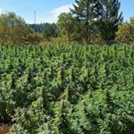 Profile Picture of Shawn MCcreery (@monstersmaddness_) on Instagram