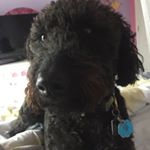 Profile Picture of Leila Walters (@leila_quinnw9) on Instagram