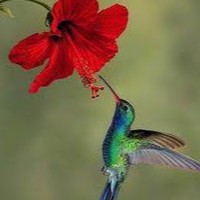 Profile Picture of Kenny Bryan (@kenny-bryan-9) on Quora