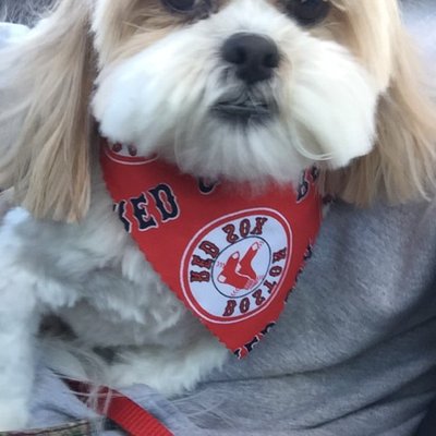 Profile Picture of Janet Buono (@BuonoJanet) on Twitter