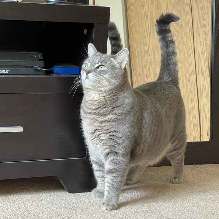 Profile Picture of Kevin Pruden (@xenemere) on Tiktok