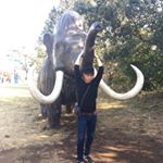 Profile Picture of S.Fujitani (@s.fujitani.1219) on Instagram