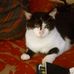 Profile Picture of Tommie Mcghee (@tommie.mcghee.73) on Facebook