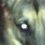 Profile Picture of nathan kinsella (@nate_the_plate15) on Instagram