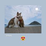 Profile Picture of Katherine Aybar (@katherineaybar4) on Instagram