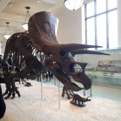 Profile Picture of Zach Harris (@wookie_zach) on Twitter