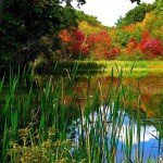 Profile Picture of Rochette (@tovjcraig35) on Instagram