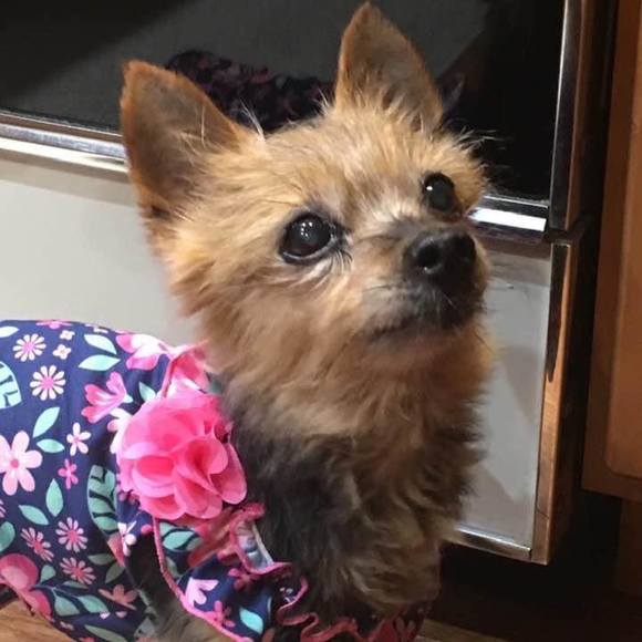 Profile Picture of Joanna Wheeler (@josnnawheeler) on Poshmark