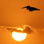 Profile Picture of Kathy Alvarez (@katherine-elizabeth) on Flickr