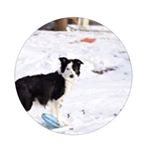 Profile Picture of Travis Schmitt (@travis.__.schmidt) on Instagram