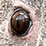 Profile Picture of Eric Coleman (@ed_coleman991) on Flickr