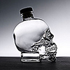 Profile Picture of Crystal Head Vodka (@crystal_head) on Flickr